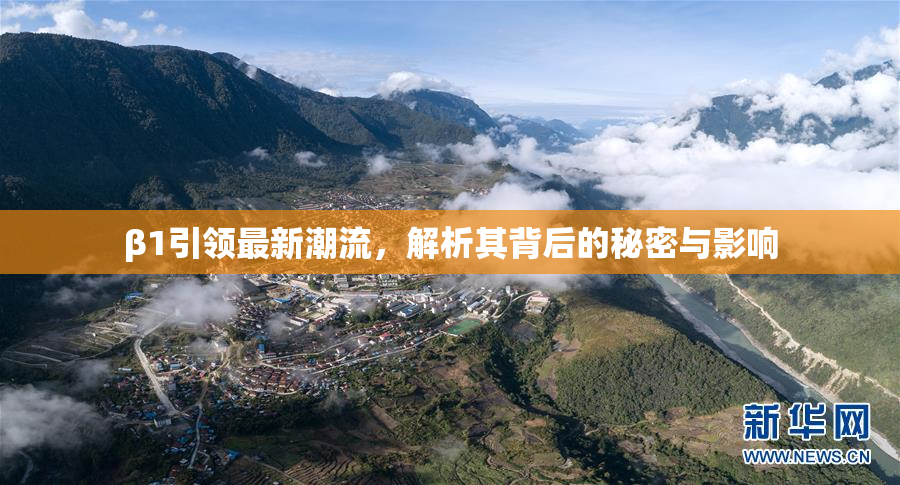 β1引领最新潮流，解析其背后的秘密与影响