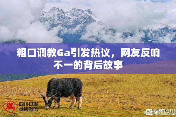 粗口调教Ga引发热议，网友反响不一的背后故事