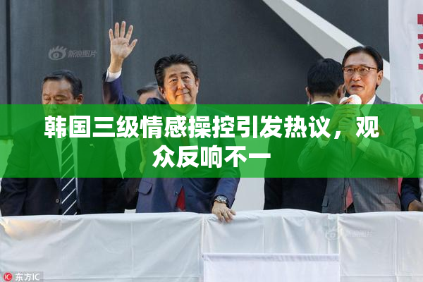 韩国三级情感操控引发热议，观众反响不一