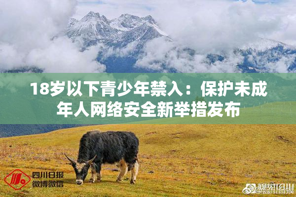 18岁以下青少年禁入：保护未成年人网络安全新举措发布