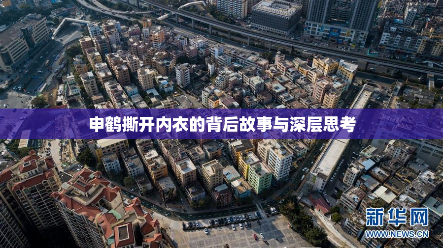 申鹤撕开内衣的背后故事与深层思考