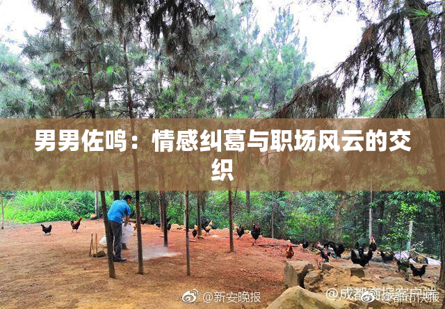 男男佐鸣：情感纠葛与职场风云的交织