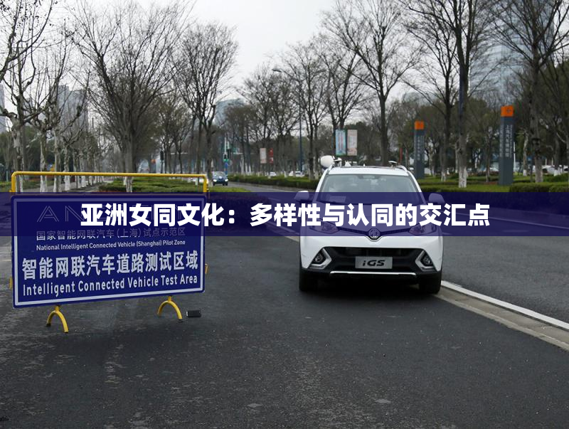 亚洲女同文化：多样性与认同的交汇点