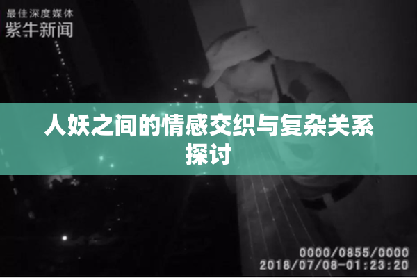 人妖之间的情感交织与复杂关系探讨