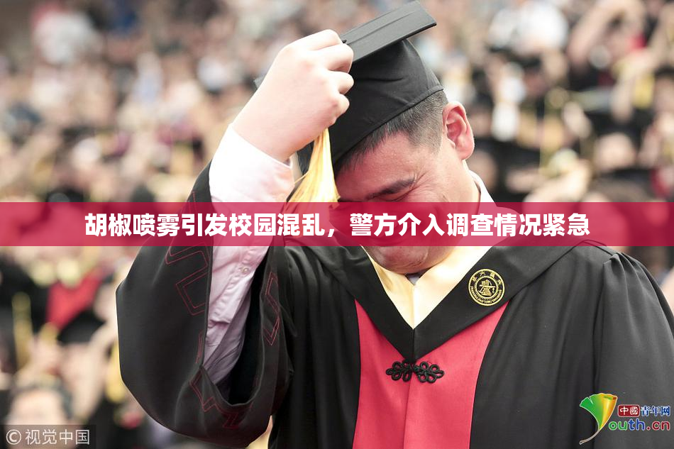 胡椒喷雾引发校园混乱，警方介入调查情况紧急