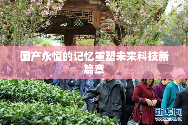 国产永恒的记忆重塑未来科技新篇章