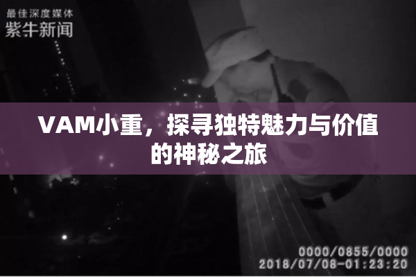 VAM小重，探寻独特魅力与价值的神秘之旅