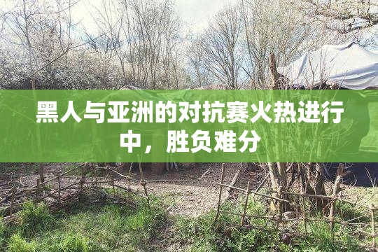 黑人与亚洲的对抗赛火热进行中，胜负难分