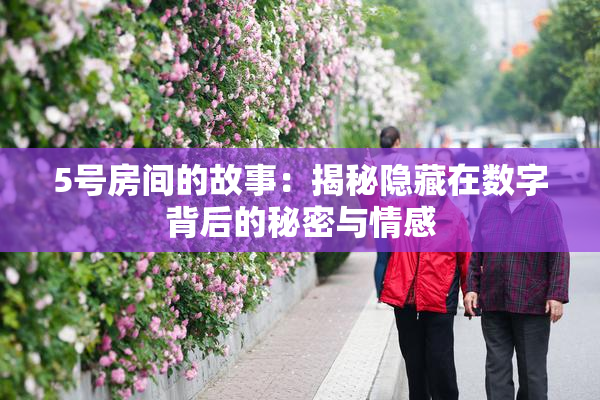 5号房间的故事：揭秘隐藏在数字背后的秘密与情感