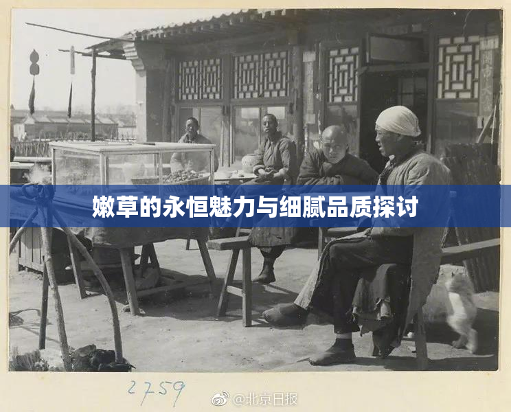 嫩草的永恒魅力与细腻品质探讨