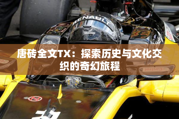 唐砖全文TX：探索历史与文化交织的奇幻旅程