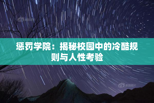 惩罚学院：揭秘校园中的冷酷规则与人性考验