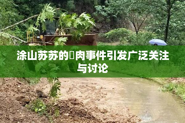 涂山苏苏的婬肉事件引发广泛关注与讨论