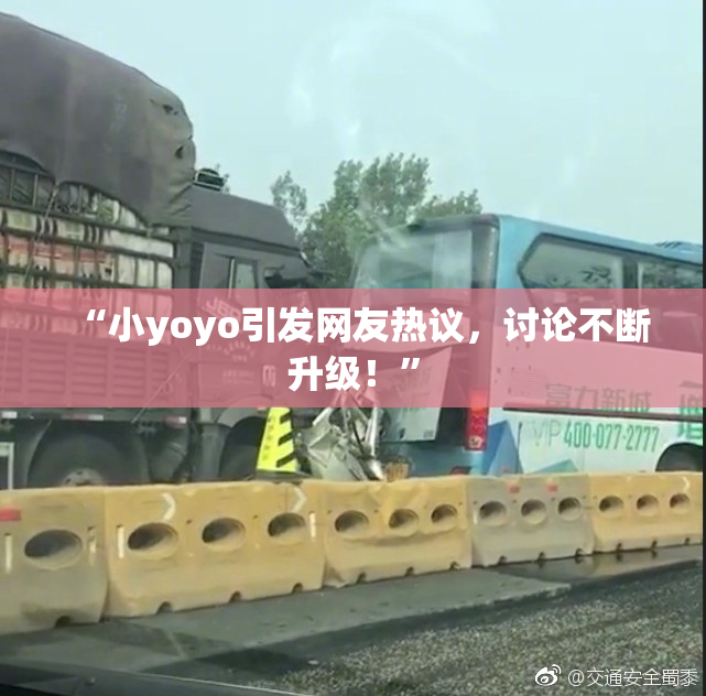 “小yoyo引发网友热议，讨论不断升级！”