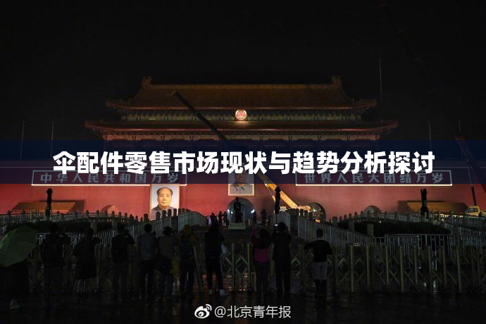 伞配件零售市场现状与趋势分析探讨