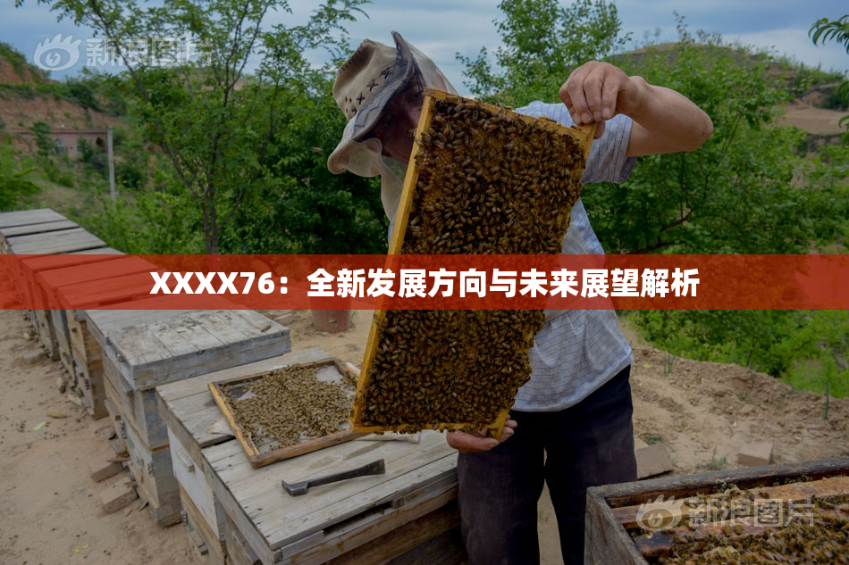 XXXX76：全新发展方向与未来展望解析