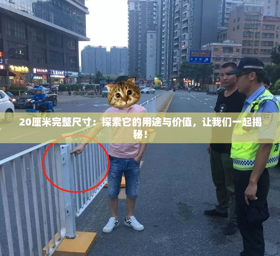 20厘米完整尺寸：探索它的用途与价值，让我们一起揭秘！