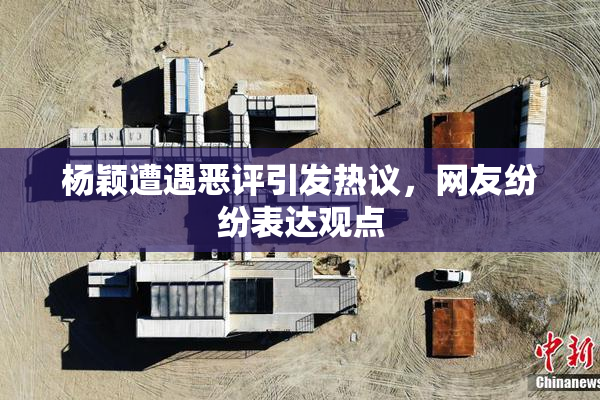 杨颖遭遇恶评引发热议，网友纷纷表达观点