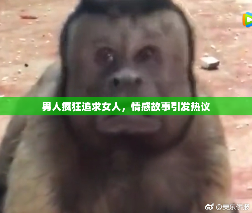 男人疯狂追求女人，情感故事引发热议