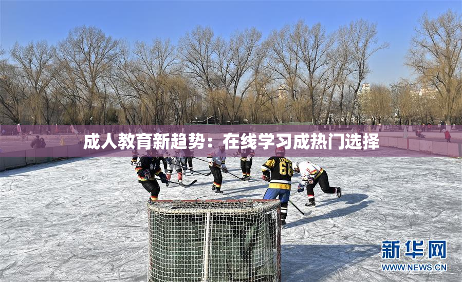 成人教育新趋势：在线学习成热门选择