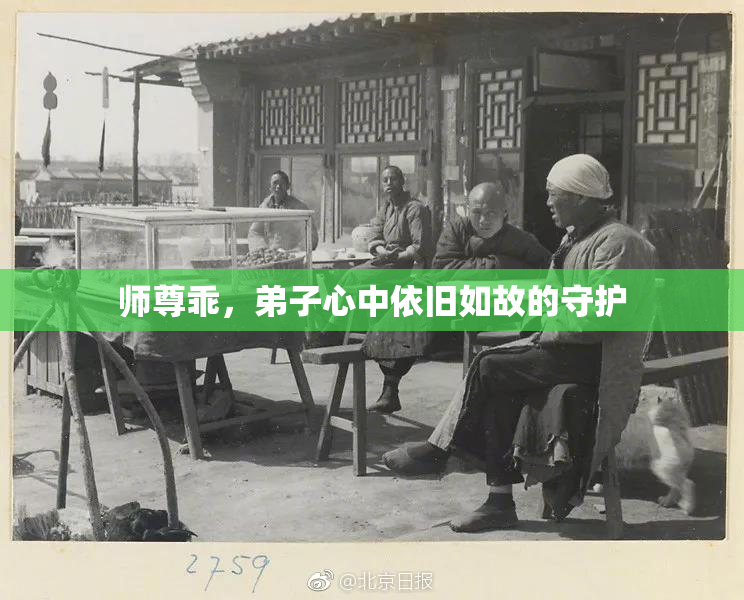 师尊乖，弟子心中依旧如故的守护