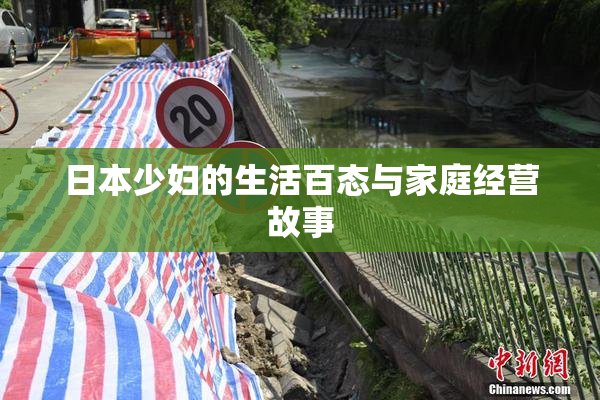 日本少妇的生活百态与家庭经营故事