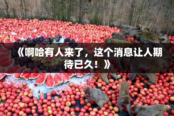 《啊哈有人来了，这个消息让人期待已久！》