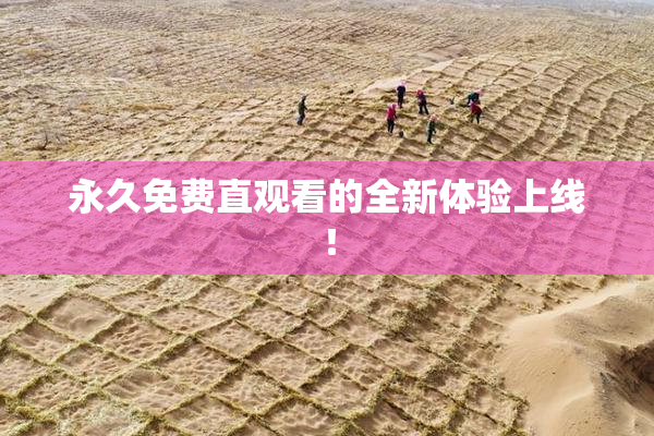 永久免费直观看的全新体验上线！