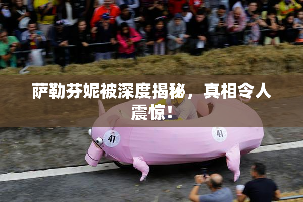 萨勒芬妮被深度揭秘，真相令人震惊！