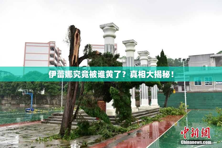 伊蕾娜究竟被谁黄了？真相大揭秘！