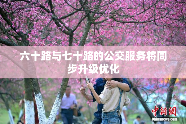 六十路与七十路的公交服务将同步升级优化