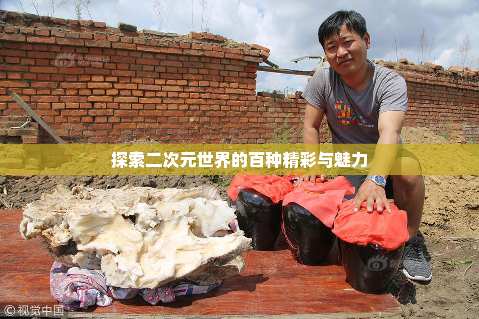 探索二次元世界的百种精彩与魅力
