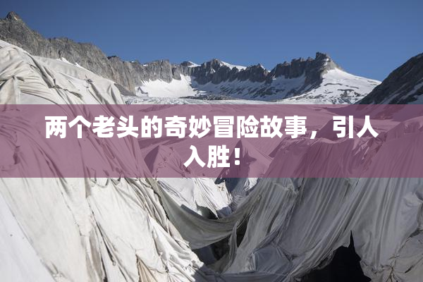 两个老头的奇妙冒险故事，引人入胜！