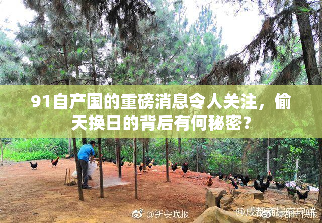 91自产国的重磅消息令人关注，偷天换日的背后有何秘密？