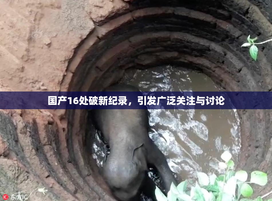 国产16处破新纪录，引发广泛关注与讨论