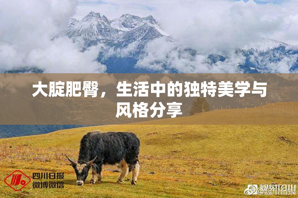 大腚肥臀，生活中的独特美学与风格分享