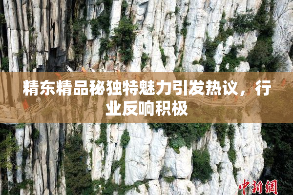 精东精品秘独特魅力引发热议，行业反响积极