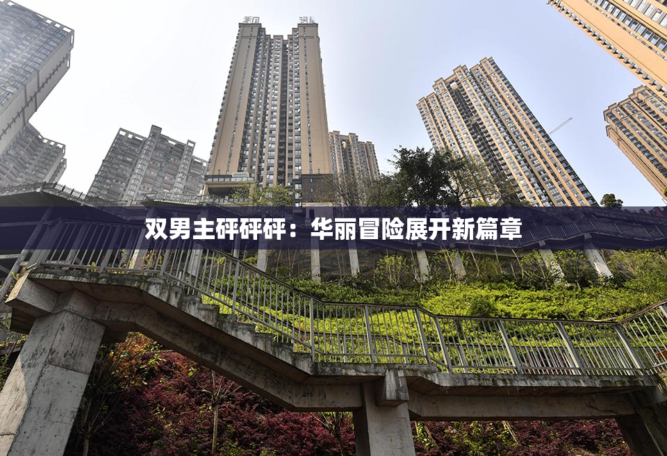 双男主砰砰砰：华丽冒险展开新篇章