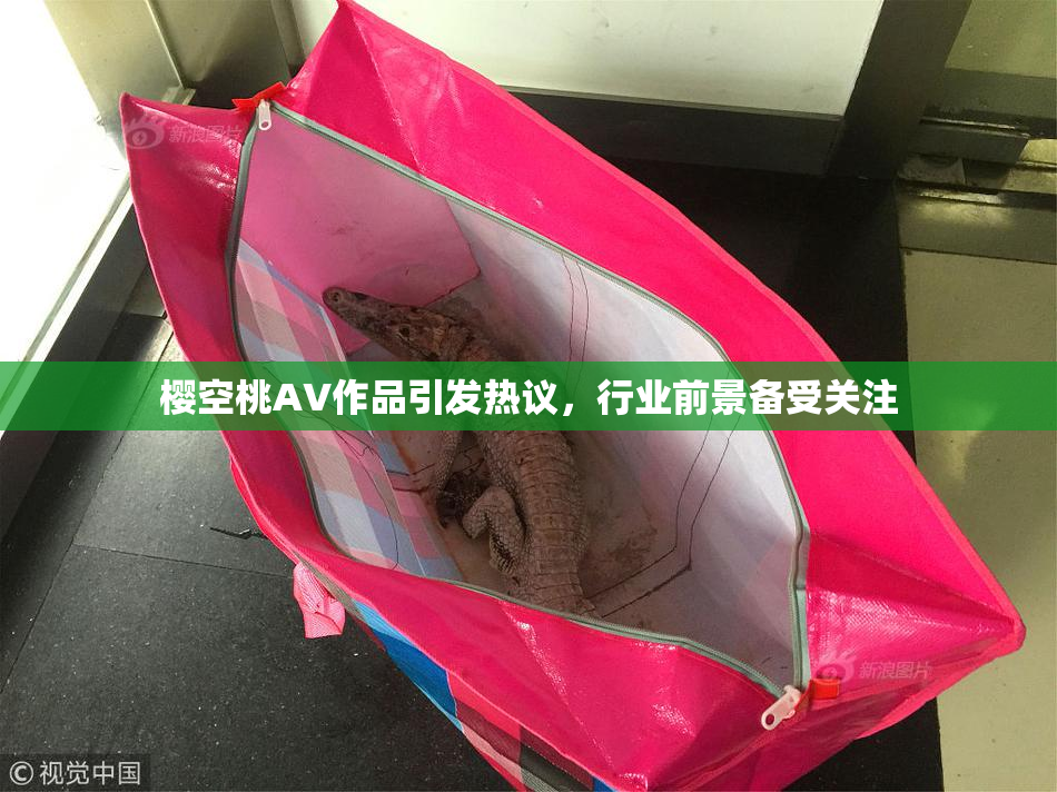 樱空桃AV作品引发热议，行业前景备受关注