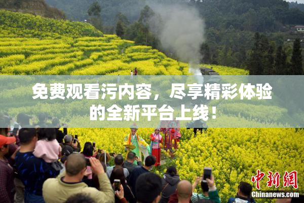 免费观看污内容，尽享精彩体验的全新平台上线！