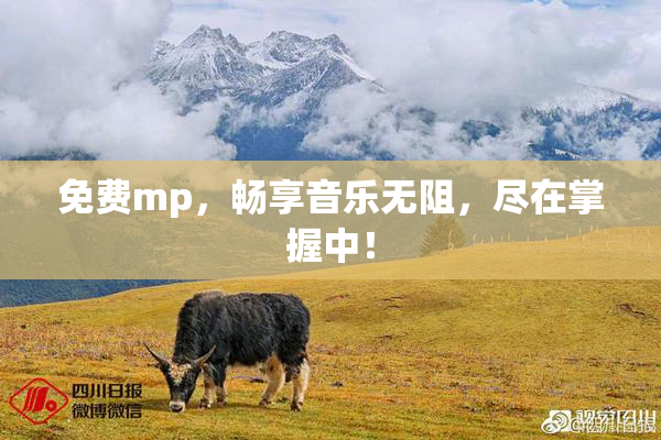 免费mp，畅享音乐无阻，尽在掌握中！