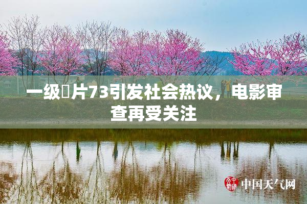一级婬片73引发社会热议，电影审查再受关注