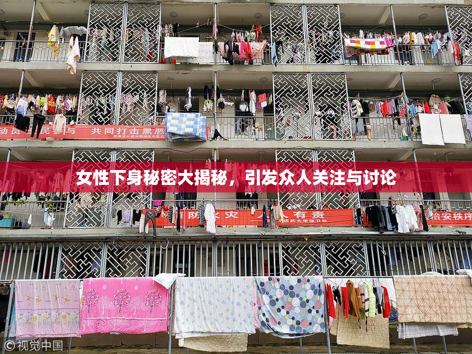 女性下身秘密大揭秘，引发众人关注与讨论
