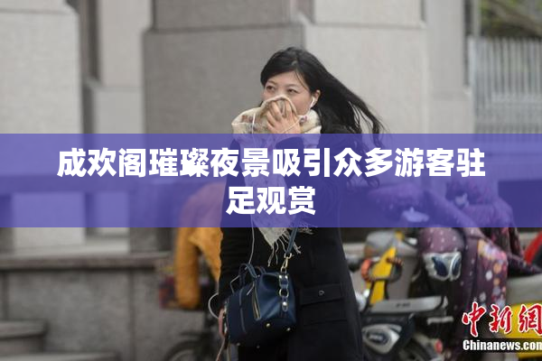 成欢阁璀璨夜景吸引众多游客驻足观赏