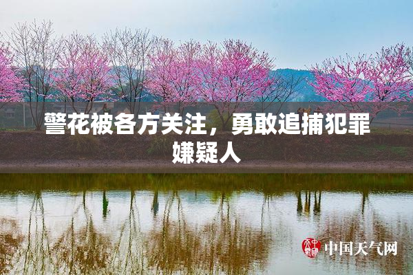 警花被各方关注，勇敢追捕犯罪嫌疑人