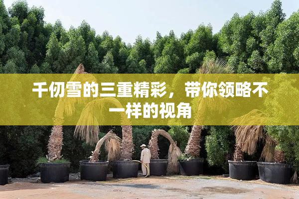千仞雪的三重精彩，带你领略不一样的视角