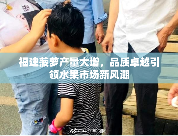 福建菠萝产量大增，品质卓越引领水果市场新风潮