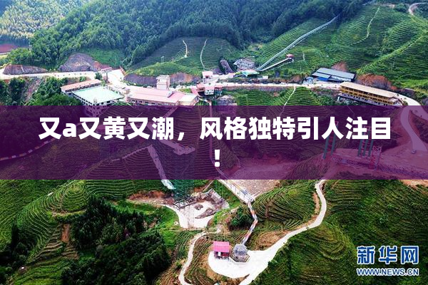 又a又黄又潮，风格独特引人注目！