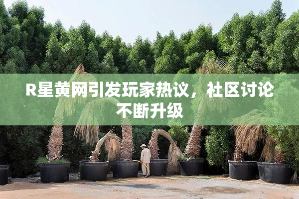 R星黄网引发玩家热议，社区讨论不断升级