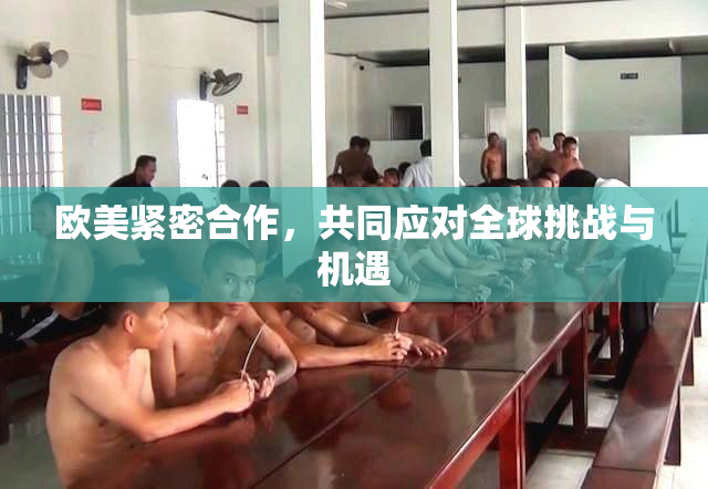 欧美紧密合作，共同应对全球挑战与机遇